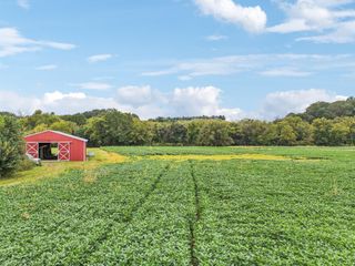 0 Earl Warren Rd, Beechgrove, TN 37018