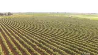 0 Cottonwood, Unincorporated, CA 95965