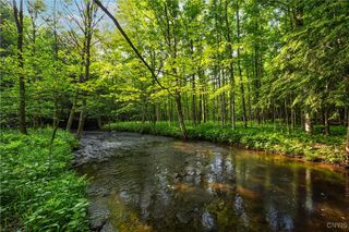 Cummings Road, Sandy Creek, NY 13083