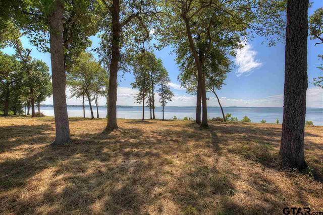 20639 Wycliff Dr., Chandler, TX 75758
