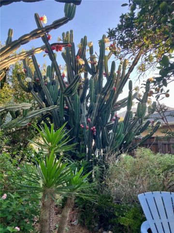 13516 Dyer Street, Sylmar, CA 91342