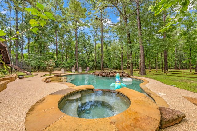 17203 Gold Panning Court, Magnolia, TX 77355