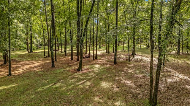17203 Gold Panning Court, Magnolia, TX 77355