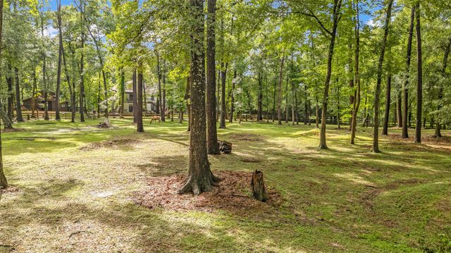 17203 Gold Panning Court, Magnolia, TX 77355