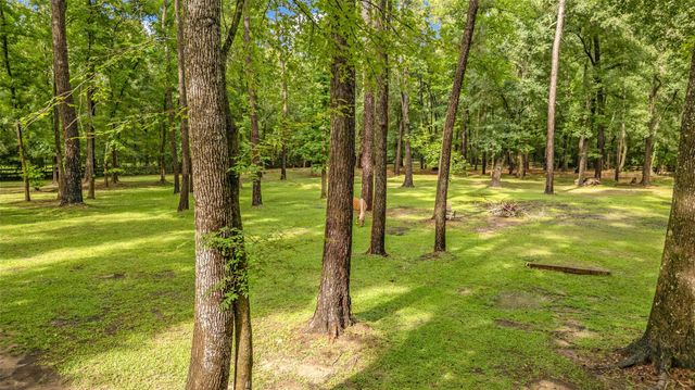 17203 Gold Panning Court, Magnolia, TX 77355