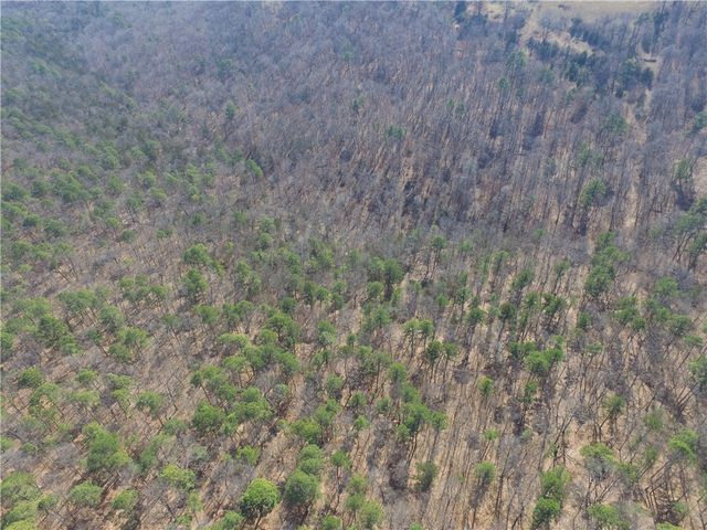 Cr-3091, Eureka Springs, AR 72632