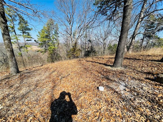 Cr-3091, Eureka Springs, AR 72632