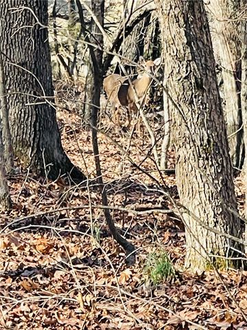 Cr-3091, Eureka Springs, AR 72632