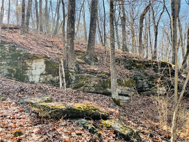 Cr-3091, Eureka Springs, AR 72632