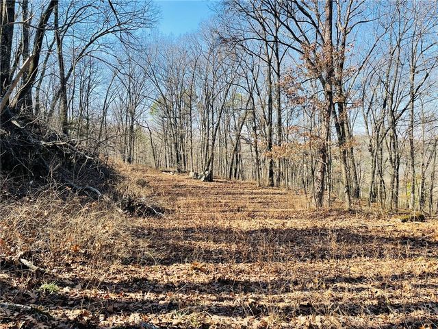 Cr-3091, Eureka Springs, AR 72632