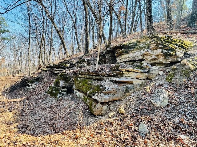 Cr-3091, Eureka Springs, AR 72632