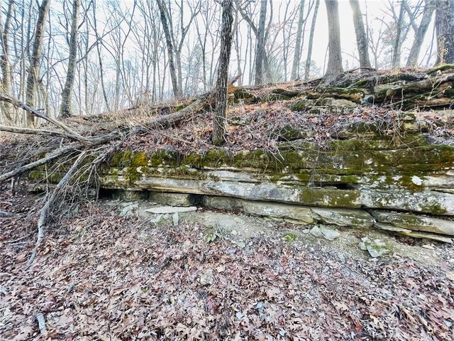 Cr-3091, Eureka Springs, AR 72632