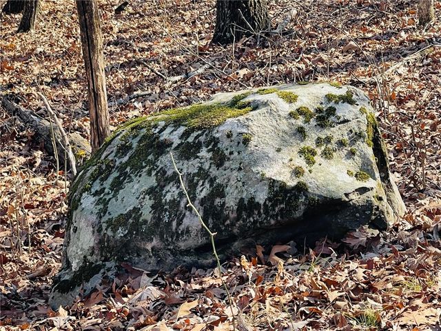 Cr-3091, Eureka Springs, AR 72632