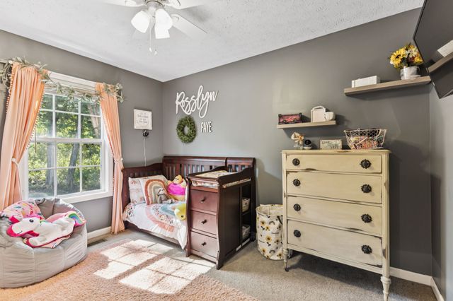 114 Stanley Blvd, Shelbyville, TN 37160