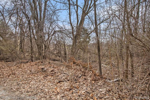 0000 Dickert Street, Commerce Twp, MI 48382