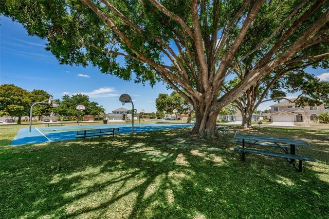 25841 CRIPPEN DRIVE, Land O Lakes, FL 34639