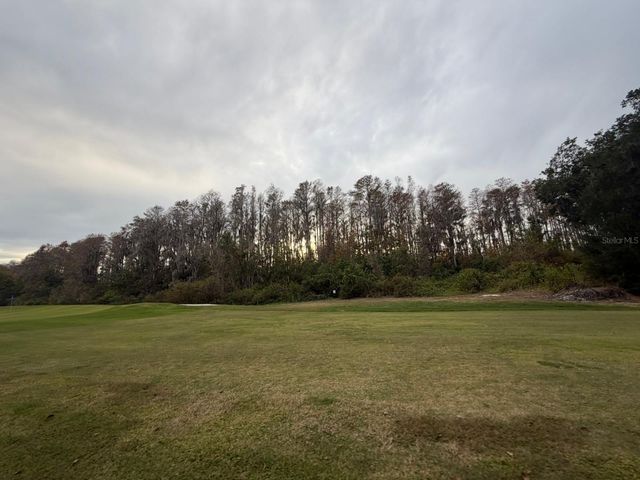 121 HYDE PARK COURT, Davenport, FL 33897