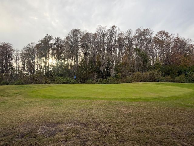 121 HYDE PARK COURT, Davenport, FL 33897