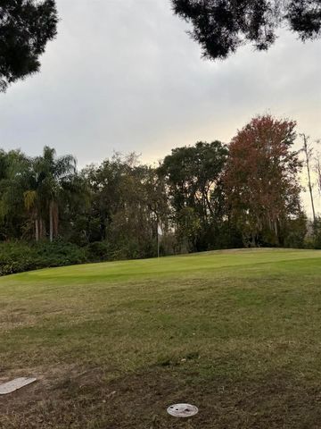 121 HYDE PARK COURT, Davenport, FL 33897