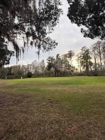 121 HYDE PARK COURT, Davenport, FL 33897