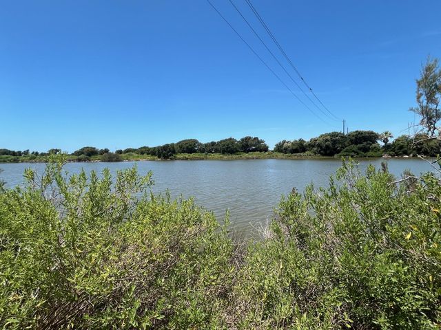 11648 Zingleman Road, Galveston, TX 77554