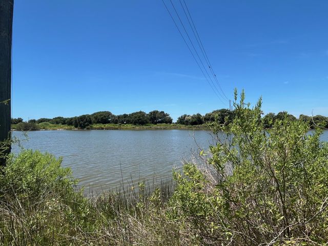 11648 Zingleman Road, Galveston, TX 77554