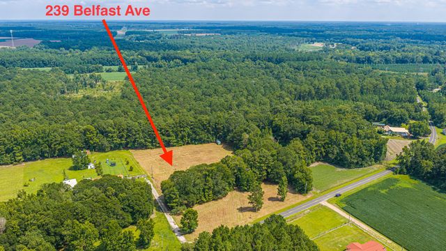 239 Belfast Avenue, Holly Hill, SC 29059