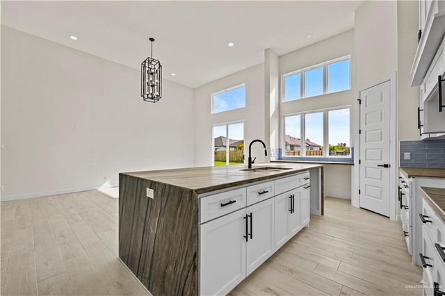 3024 N Adler, Edinburg, TX 78541