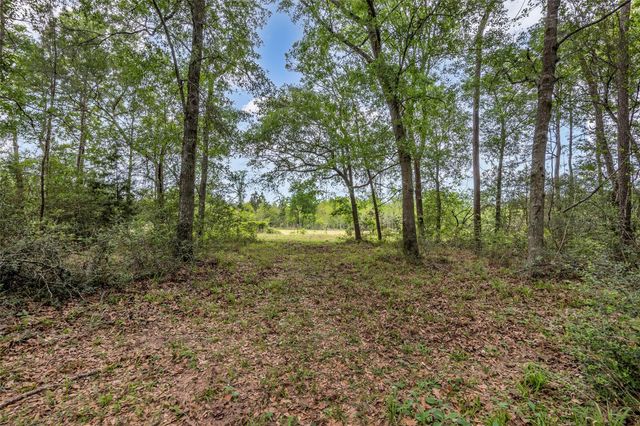 27527 Tepee Trail, Hockley, TX 77447