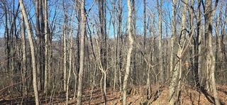 00001 Big Oak Drive, Jasper, GA 30143