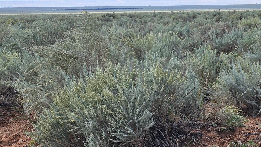 VL LOTS 16,17,18,19 BLOCK 377 17, Rio Communities, NM 87002