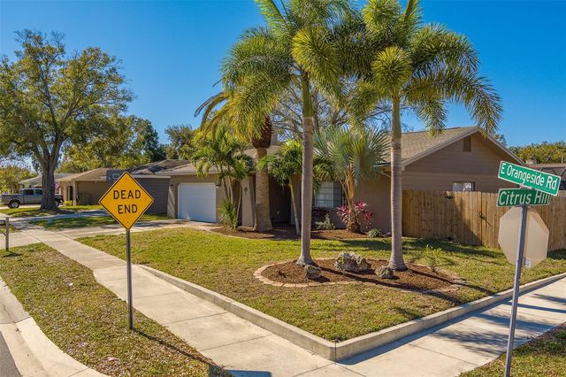 1790 E ORANGESIDE ROAD, Palm Harbor, FL 34683