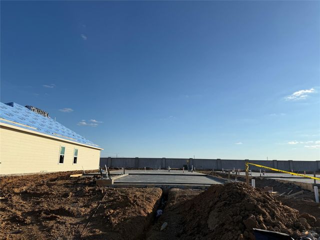 29131 Dandelion Sky Drive, Waller, TX 77484