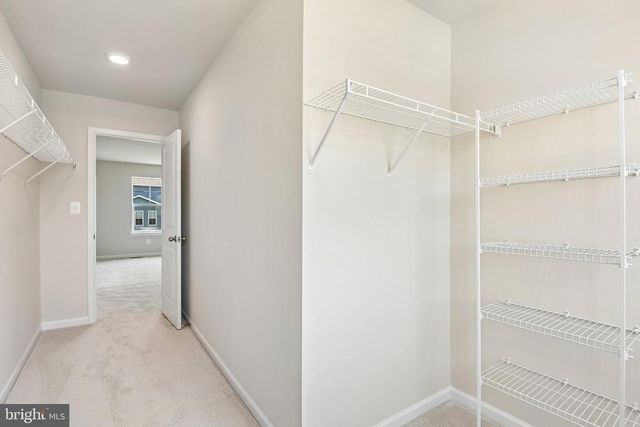 919 ENFIELD FARM LN, Brunswick, MD 21716