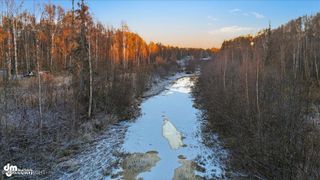 49168 S Hunter Drive, Willow, AK 99688