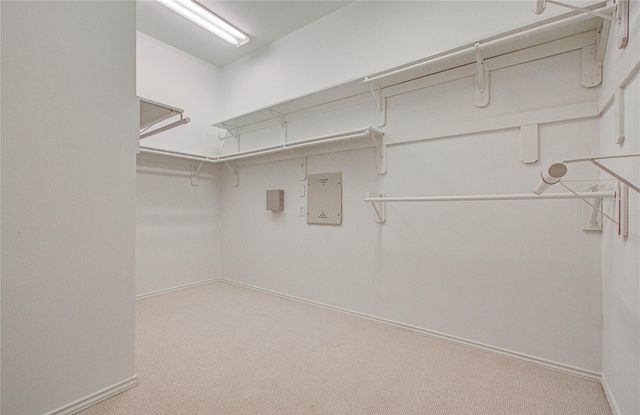 28203 Fantail Drive, Katy, TX 77494