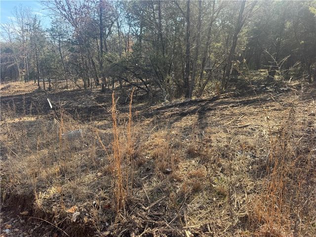 TBD 2.43 Acres County Rd 3271, Berryville, AR 72616