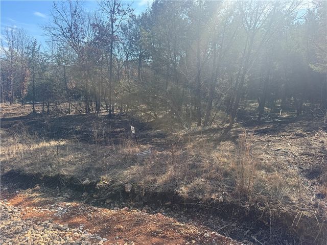 TBD 2.43 Acres County Rd 3271, Berryville, AR 72616