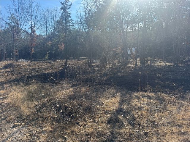 TBD 2.43 Acres County Rd 3271, Berryville, AR 72616