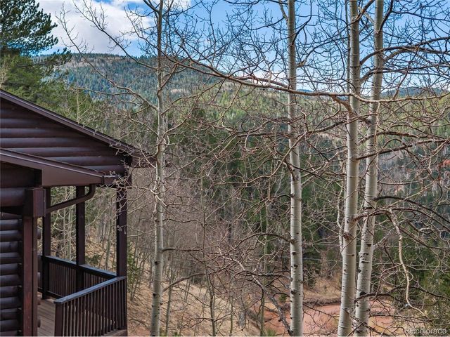 60 Beaver Pond Rd, Divide, CO 80814