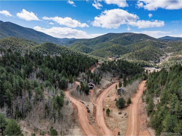 60 Beaver Pond Rd, Divide, CO 80814