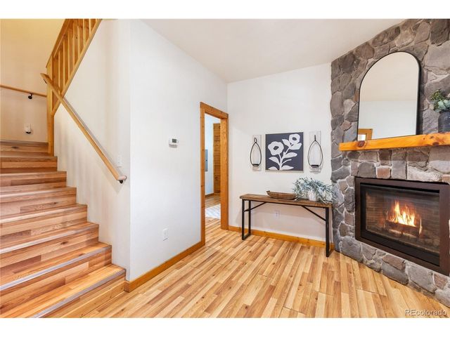 60 Beaver Pond Rd, Divide, CO 80814