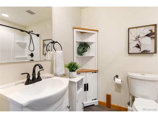 60 Beaver Pond Rd, Divide, CO 80814