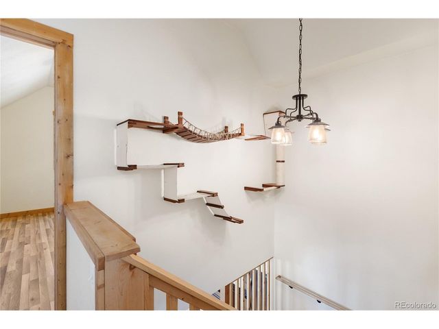 60 Beaver Pond Rd, Divide, CO 80814