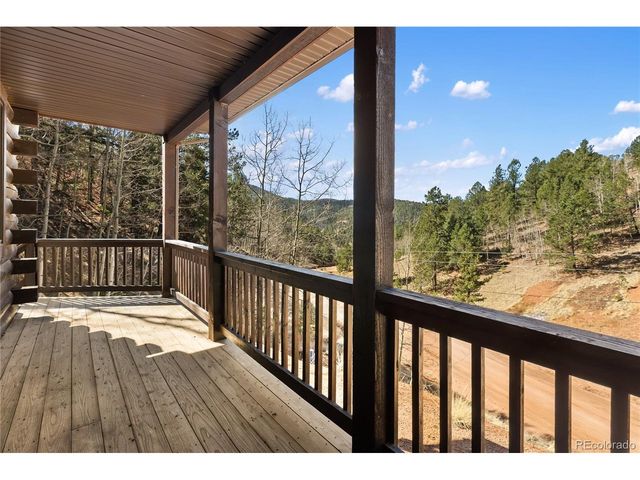 60 Beaver Pond Rd, Divide, CO 80814
