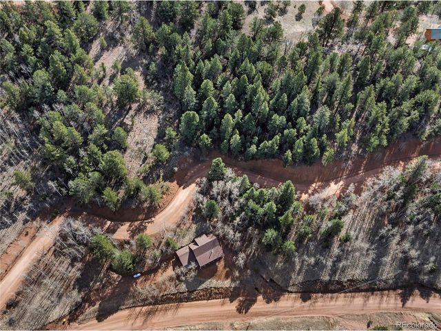 60 Beaver Pond Rd, Divide, CO 80814