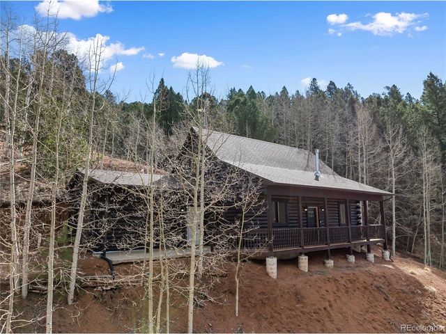 60 Beaver Pond Rd, Divide, CO 80814
