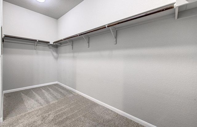 6705 Loretta White LN, Austin, TX 78744