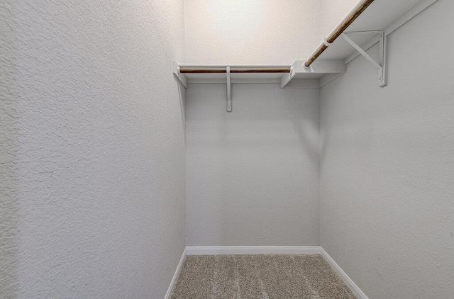 6705 Loretta White LN, Austin, TX 78744