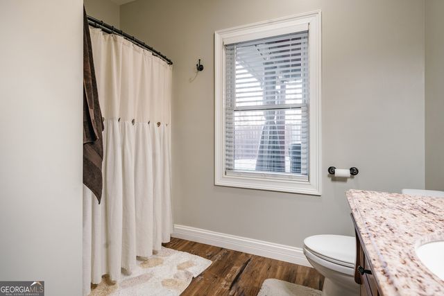 52 Ivy Ridge Court, Blue Ridge, GA 30513